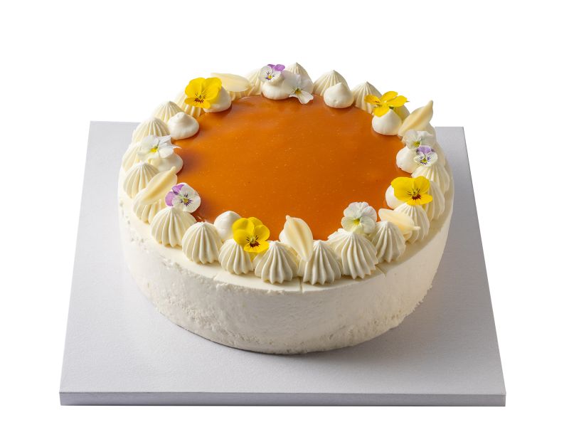 Dort meruňka / jogurt